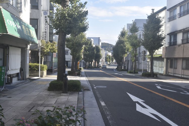 駅前から南に延びる駅前いちょう通りを辿（たど）る。