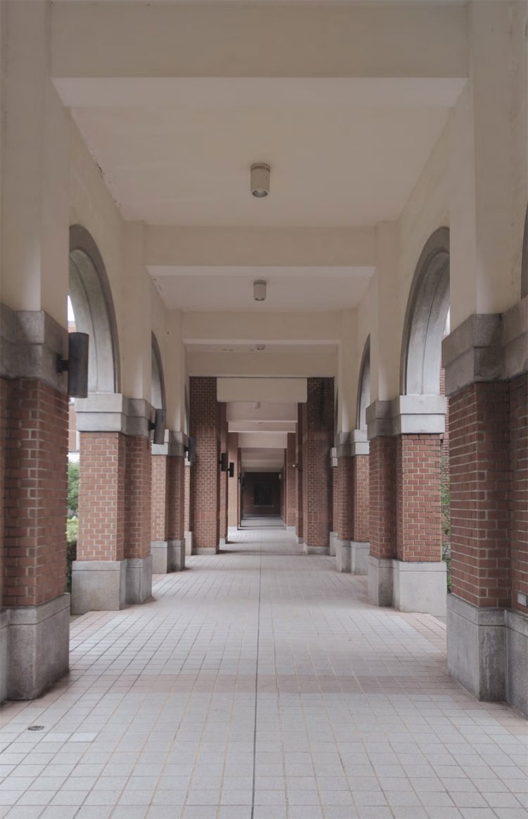 図書館へ続く廊下も素敵なんです。本やノートを抱えて入館していく学生さんもたくさん。