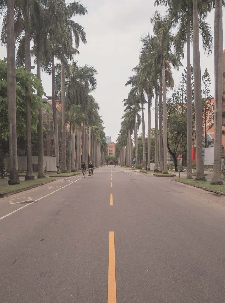 自転車が多いのもなぜか絵になっちゃう台湾大学。カップルが2人乗りしているのも微笑ましい普通の光景です（映画でよく見る女の子が男の子の肩に手を添えて後ろに立ってる乗り方♡）。