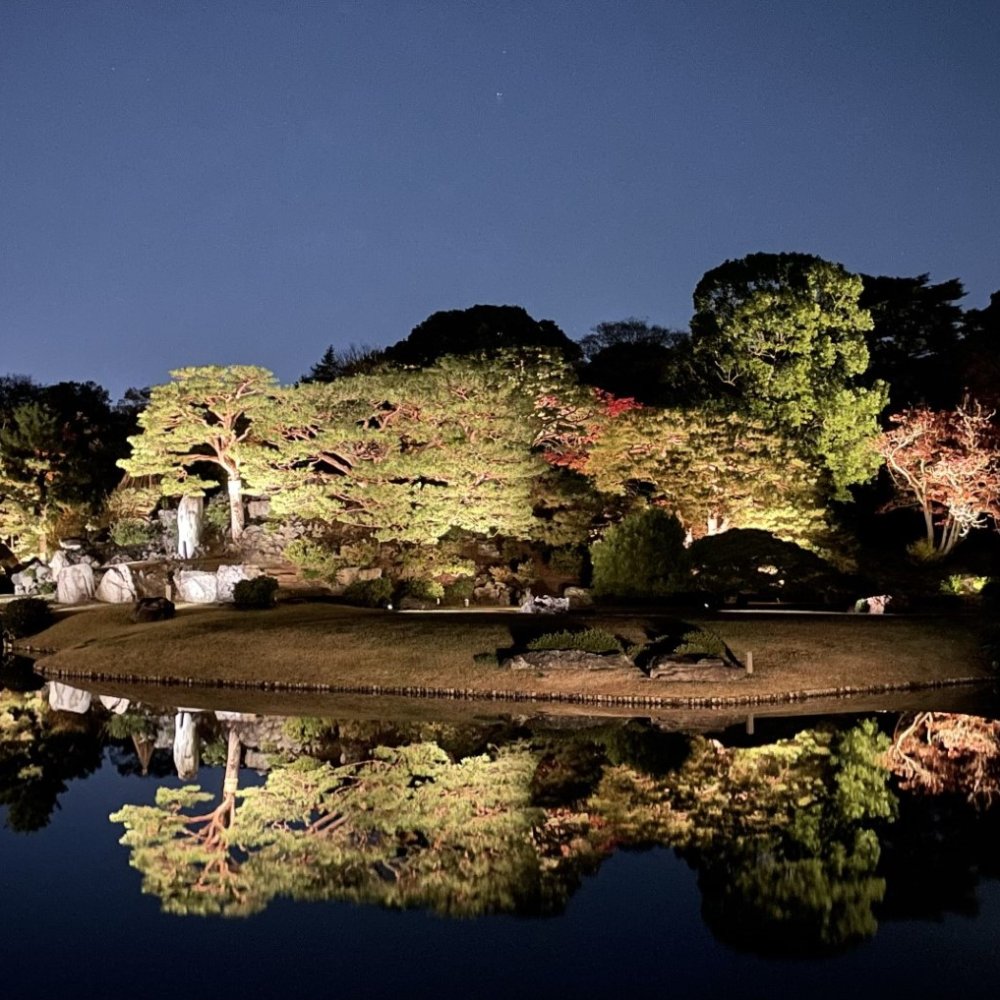 ライトアップされた庭園で秋の夜長を楽しむ！「庭紅葉の六義園 夜間特別観賞」が11月22日～12月4日に開催