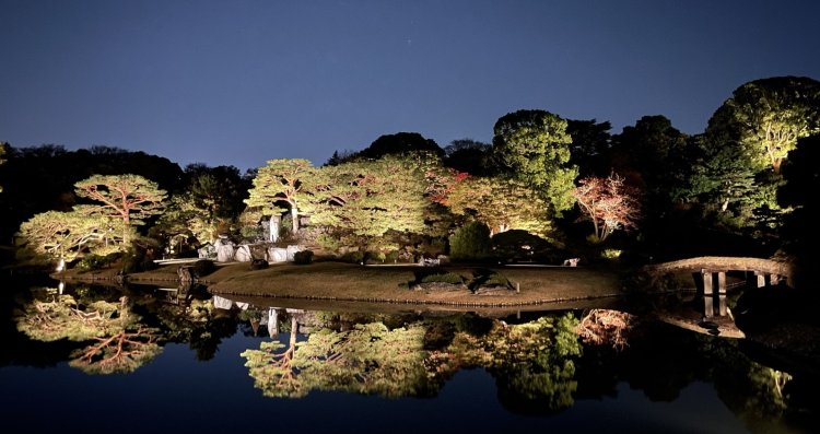 ライトアップされた庭園で秋の夜長を楽しむ！「庭紅葉の六義園 夜間特別観賞」が11月22日～12月4日に開催