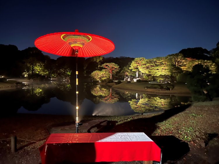 離宮傘や緋毛氈（ひもうせん）が設えられた風情ある撮影スポットで記念撮影を楽しもう。