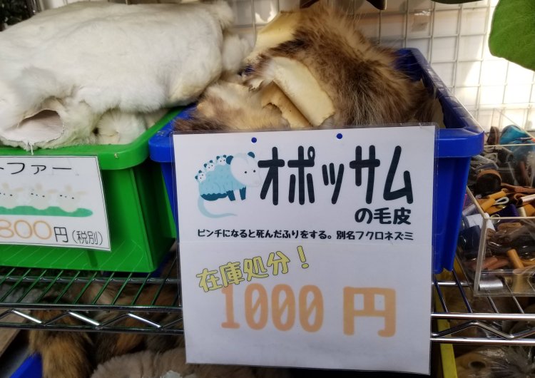 マニアックな素材まで揃っている。