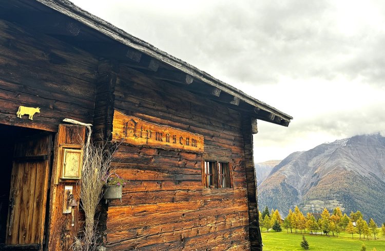 見晴らしのいい場所に立つ。