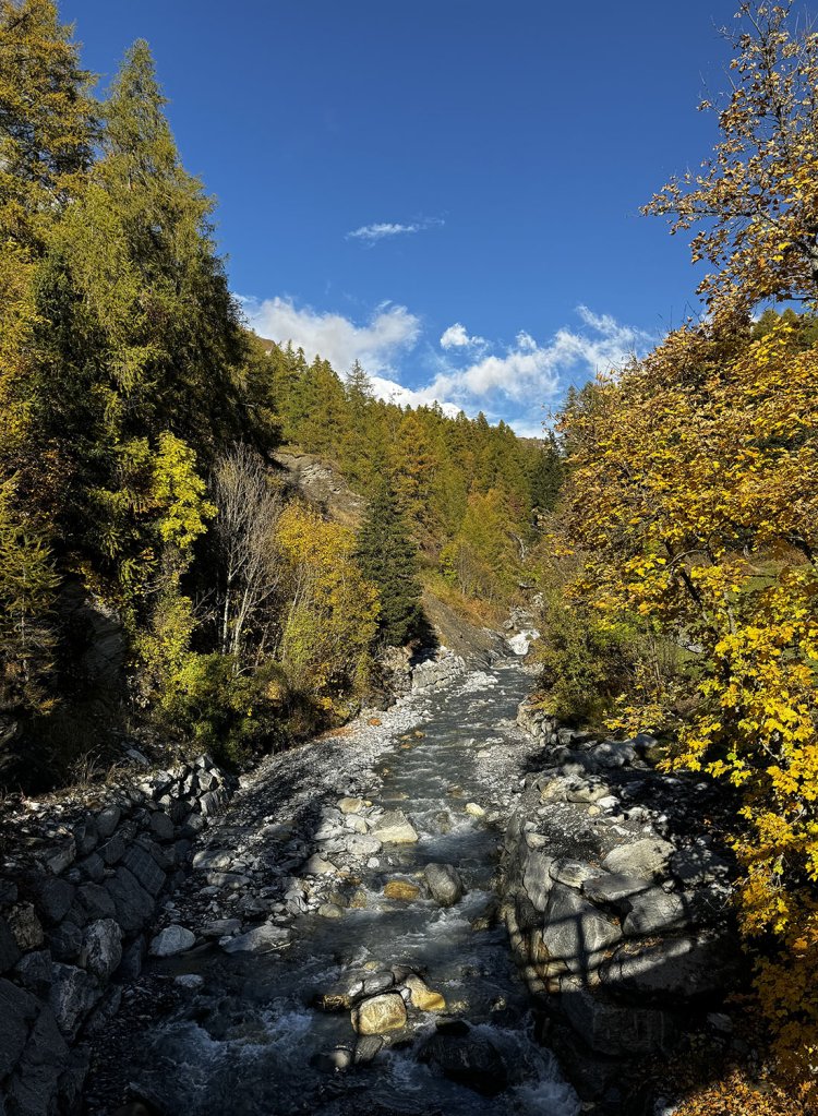 ダーラ川を渡る。