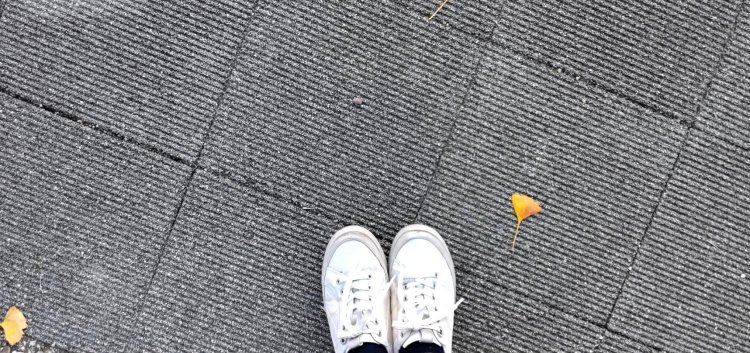 普通の道に見えるが、ここにも安全を守る機能が！