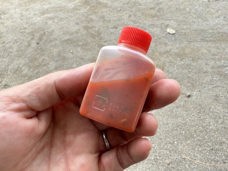 別添えのサルサソース。あとがけだとパンが湿らないのでうれしい。