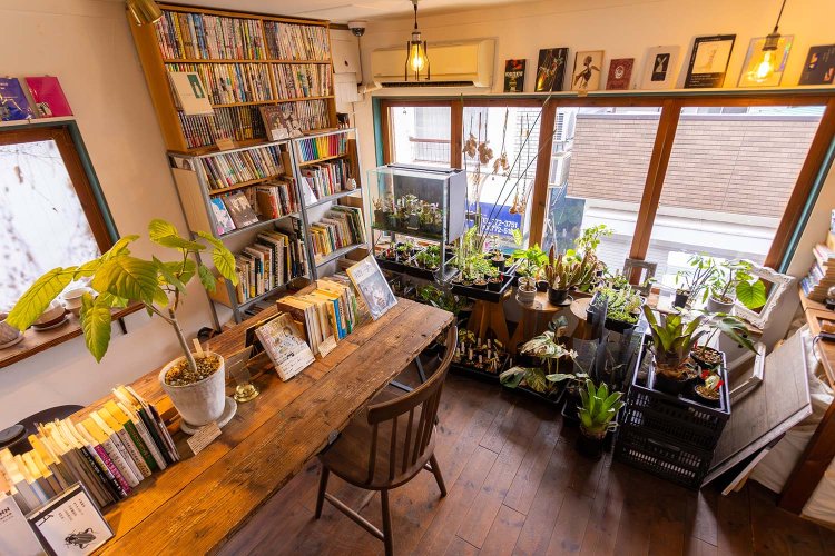 ブックカフェにはアート、漫画などサブカル系が充実。