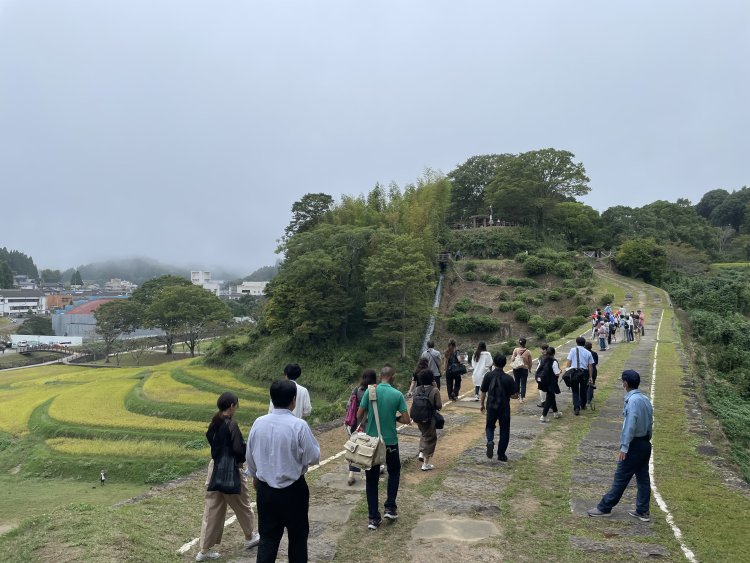 橋の上からはのどかな田園風景が眺められる。落ちないように注意！