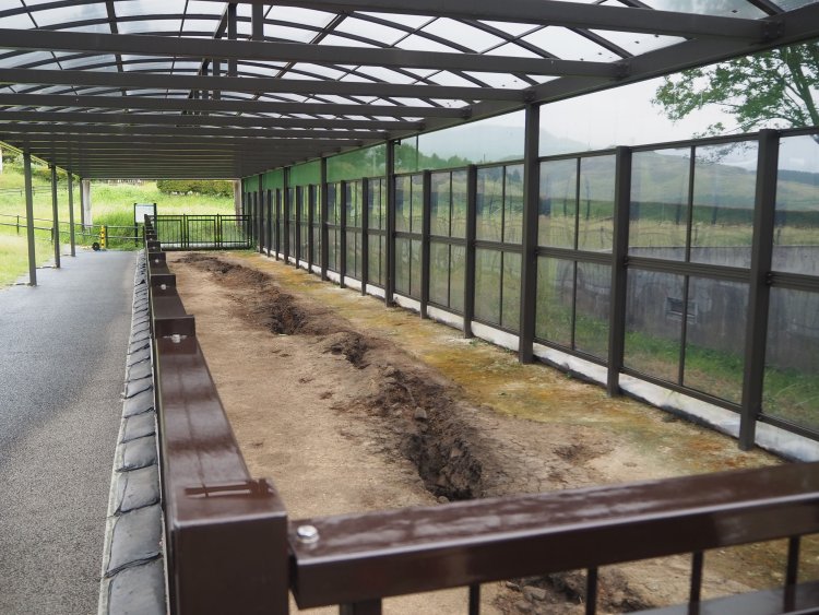 地震により地表に現れた断層。