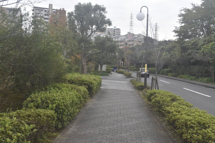しゃれたマンション群を抜ける道。