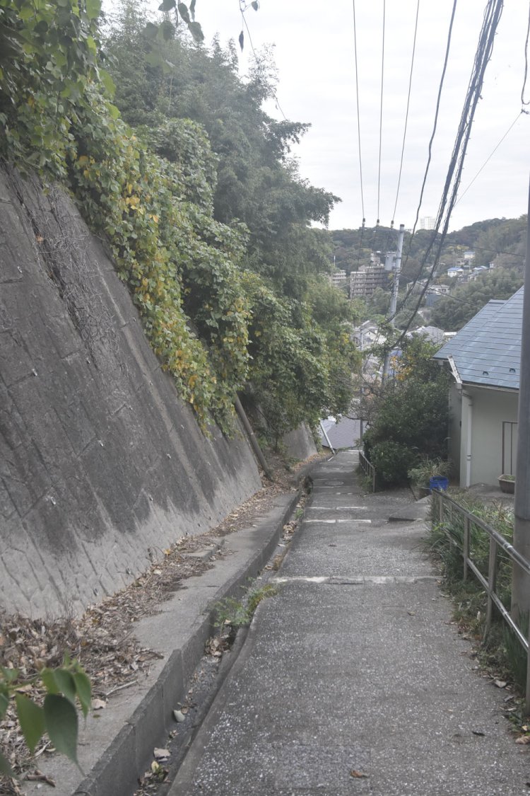 視界が開けると住宅地が見えてくる。