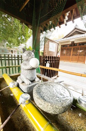 【散歩の達人】猫ゆかりの寺社で猫パワーを浴びよう