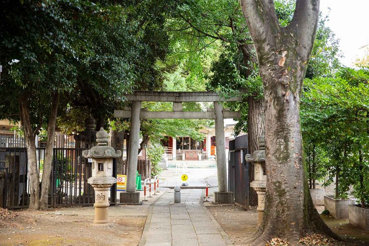 参道に沿って木々が立ち並び、落ち着いた雰囲気。