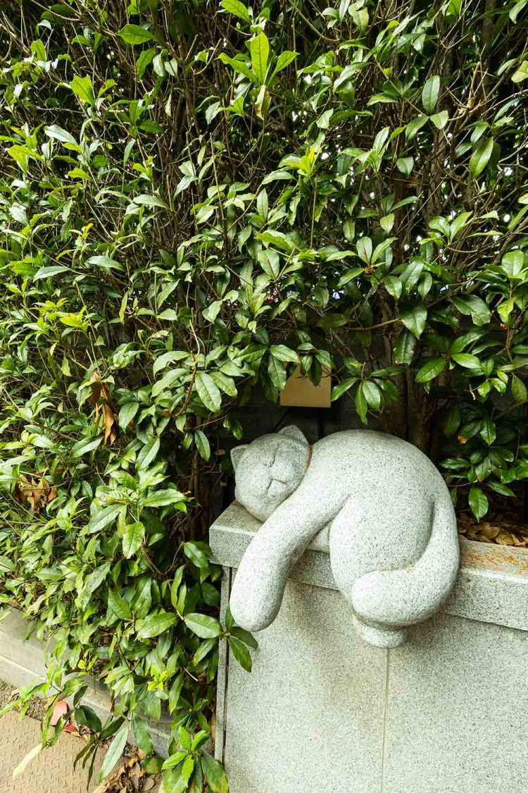 境内には、2匹の眠り猫が。参詣後にじっくり散策し、探してみよう。