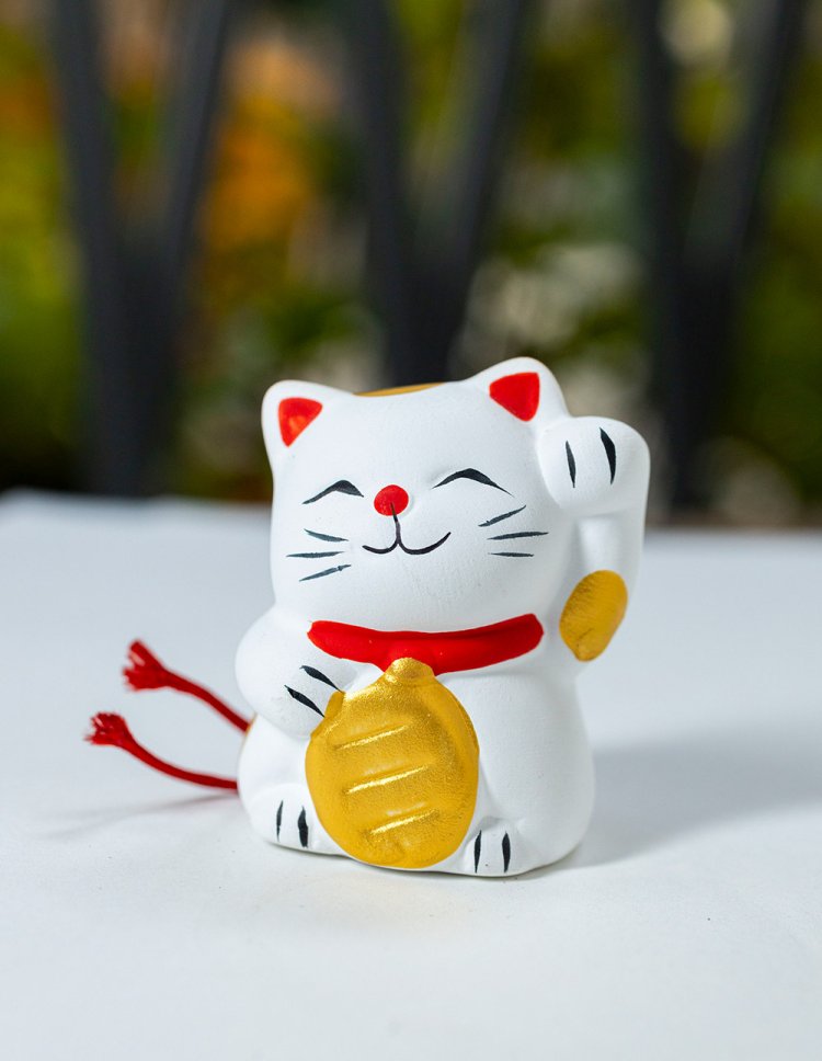 猫みくじ500円。