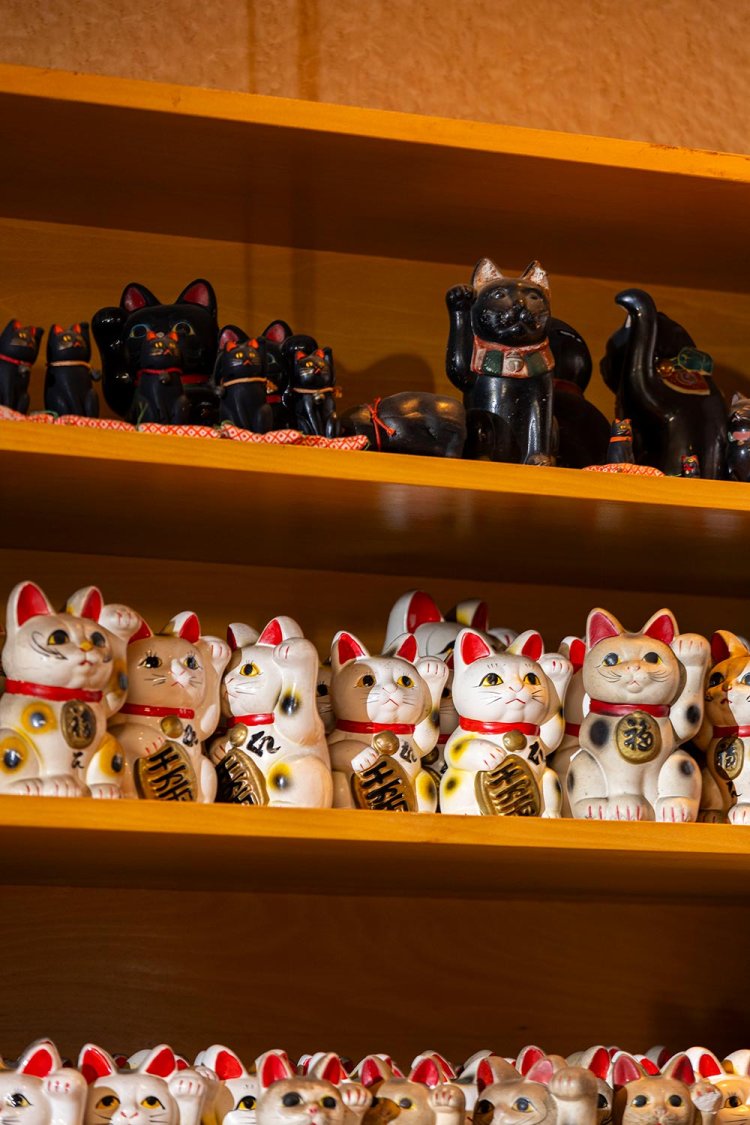 猫地蔵堂には、太田道灌を助けた黒猫にちなんで納められたのか、黒い招き猫も多い。