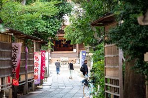 【散歩の達人】猫ゆかりの寺社で猫パワーを浴びよう