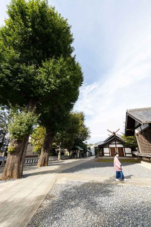 【散歩の達人】猫ゆかりの寺社で猫パワーを浴びよう