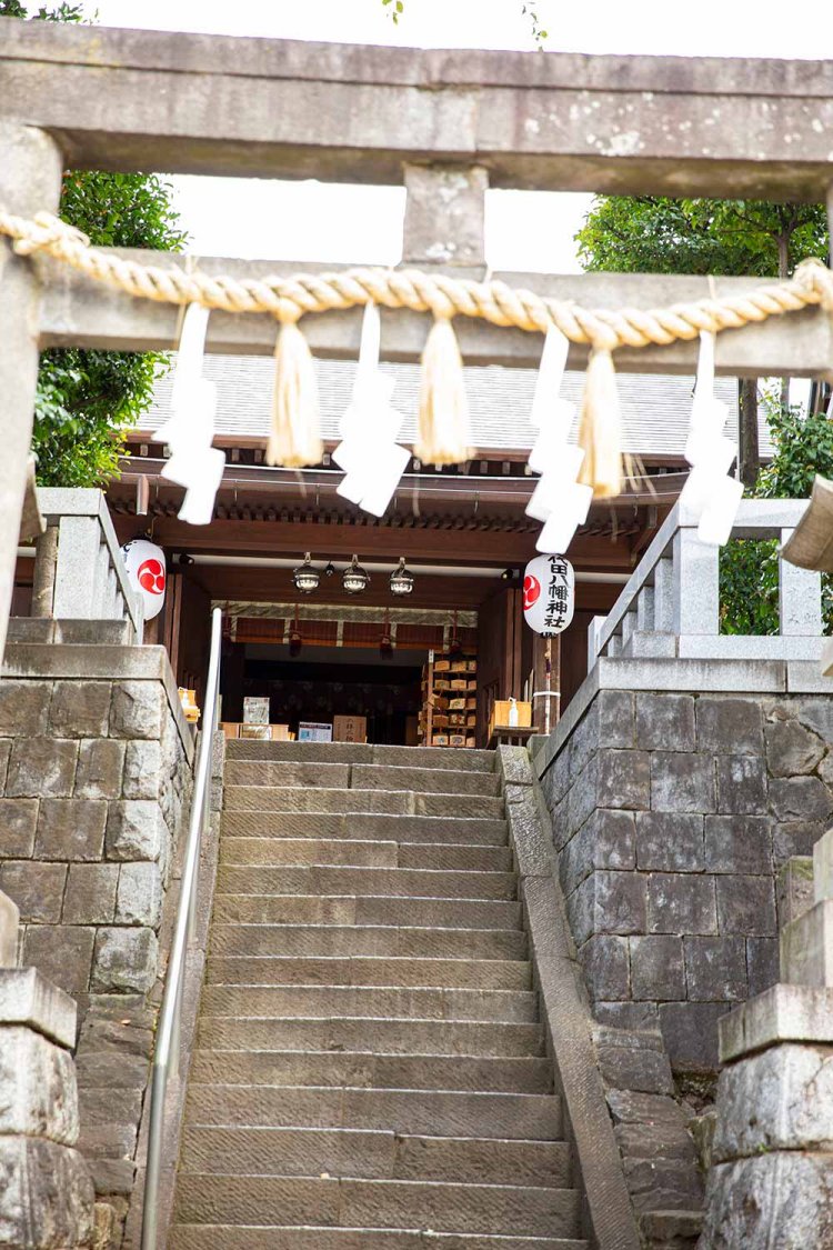 天明5年（1785）に寄進された石鳥居。世田谷区内で2番目に古い鳥居と言われる区指定有形文化財。三毛猫のふくちゃんは100匹中1匹しかいない珍しいバージョン。