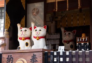 【散歩の達人】猫ゆかりの寺社で猫パワーを浴びよう