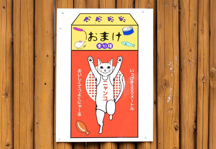 雪守横丁や商店の壁などに猫パロディ看板がかかる。