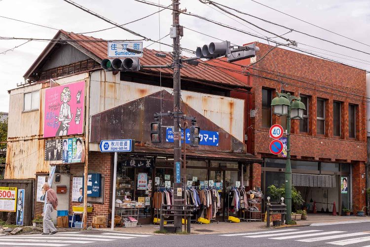 【散歩の達人】猫をたずねて青梅紀行