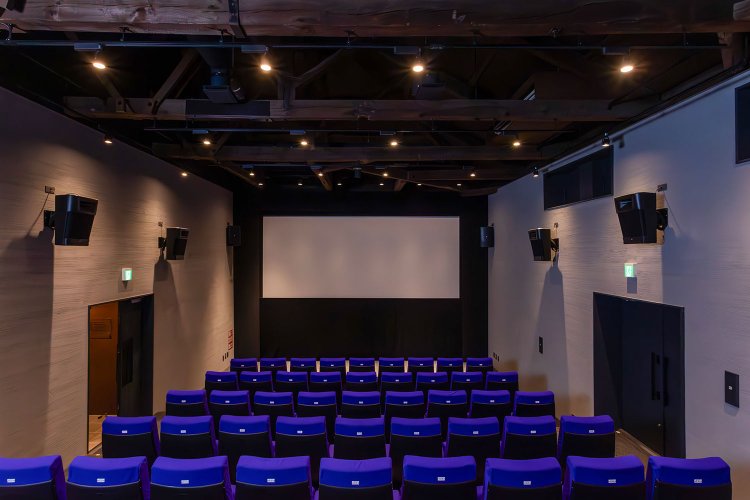 【散歩の達人】猫をたずねて青梅紀行