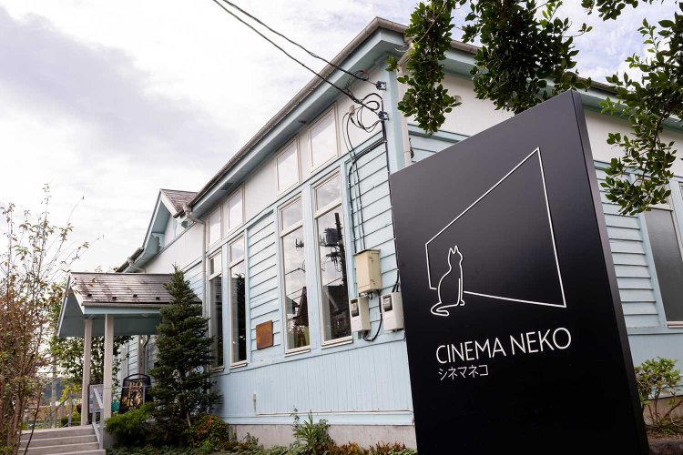 【散歩の達人】猫をたずねて青梅紀行