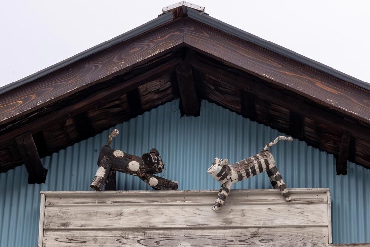 ふと見上げれば、カフェの軒先に相対する２匹の猫たちが。