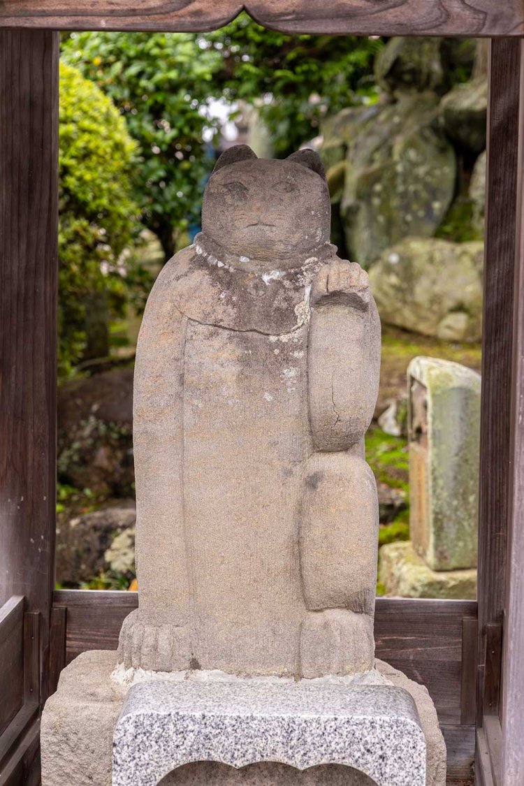 【散歩の達人】猫をたずねて青梅紀行