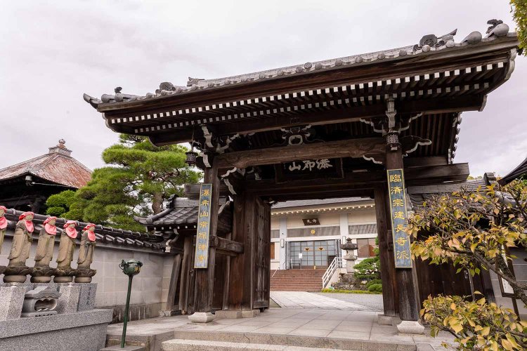 【散歩の達人】猫をたずねて青梅紀行