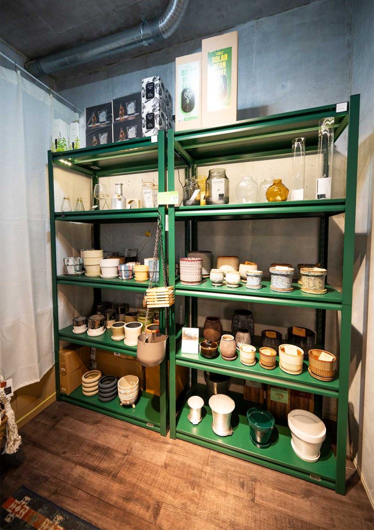 【散歩の達人】野方さんぽ