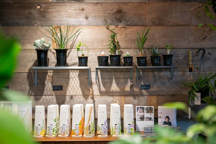 【散歩の達人】野方さんぽ