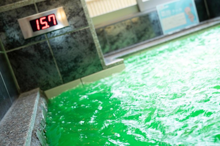 【散歩の達人】野方さんぽ