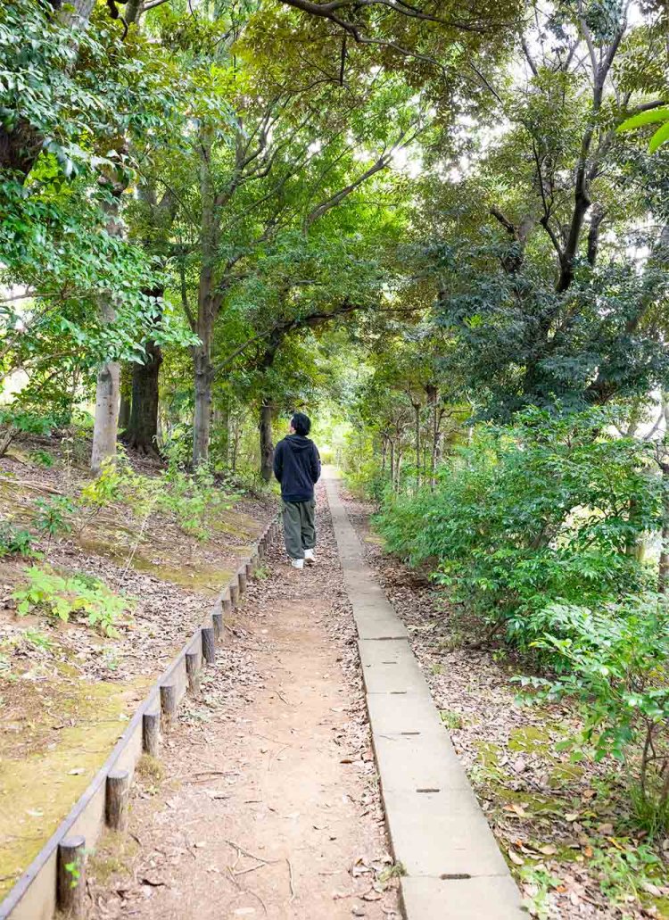 平和の森公園の緑道。