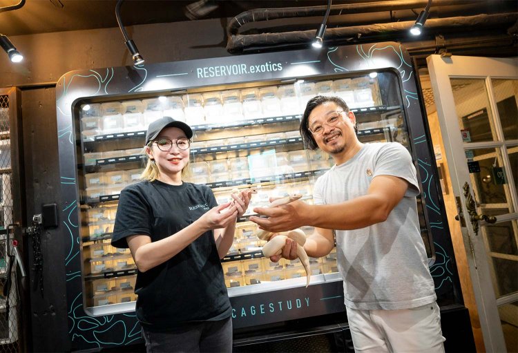 【散歩の達人】沼袋さんぽ