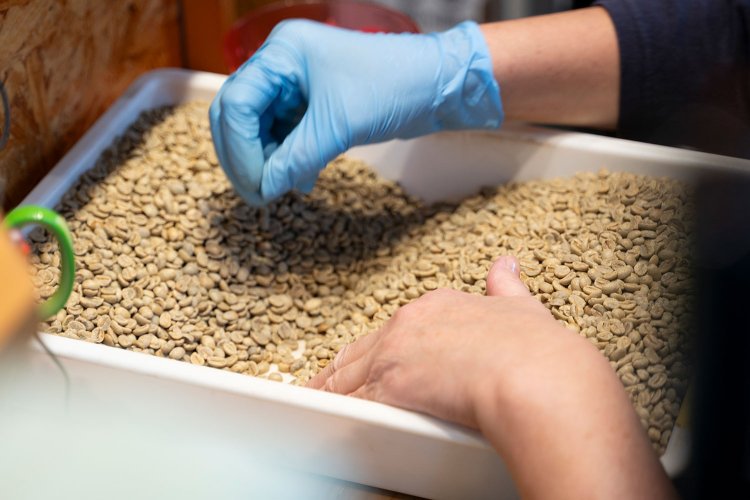 【散歩の達人】沼袋さんぽ