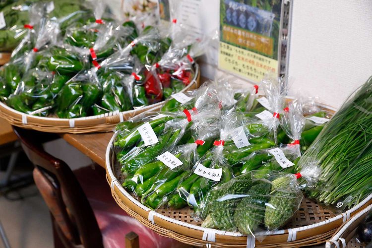 【散歩の達人】新井薬師前さんぽ