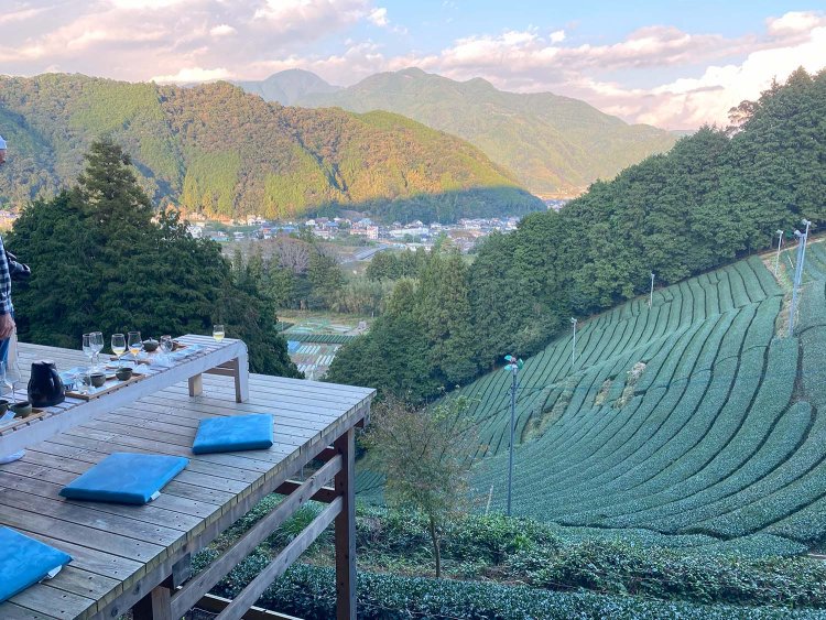 製茶工場前に併設されているカフェ兼茶葉販売所前のテラスとは別に、完全予約制のテラスがある。店舗から徒歩20分ほど、山の斜面を登った先に現れる絶景と共に、お茶やスイーツをいただける。