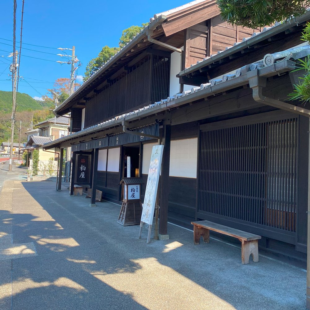 大河ドラマ『べらぼう』ゆかりの静岡へ街道さんぽ。歴史、グルメ、お茶の魅力に触れる1泊2日の旅