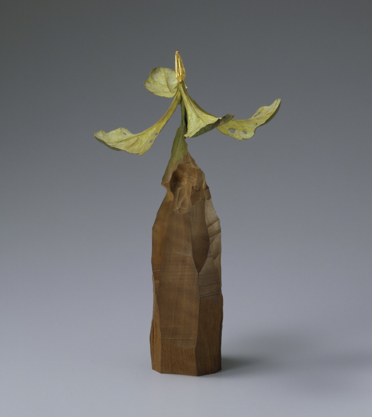 木彫で実物そっくりの植物を生み出す作家の個展「須田悦弘」展が、2025