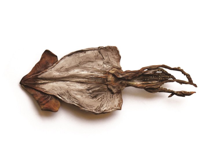 須田悦弘《スルメ》1988年 木に彩色 作家蔵 (C)Suda Yoshihiro / Courtesy of Gallery Koyanagi