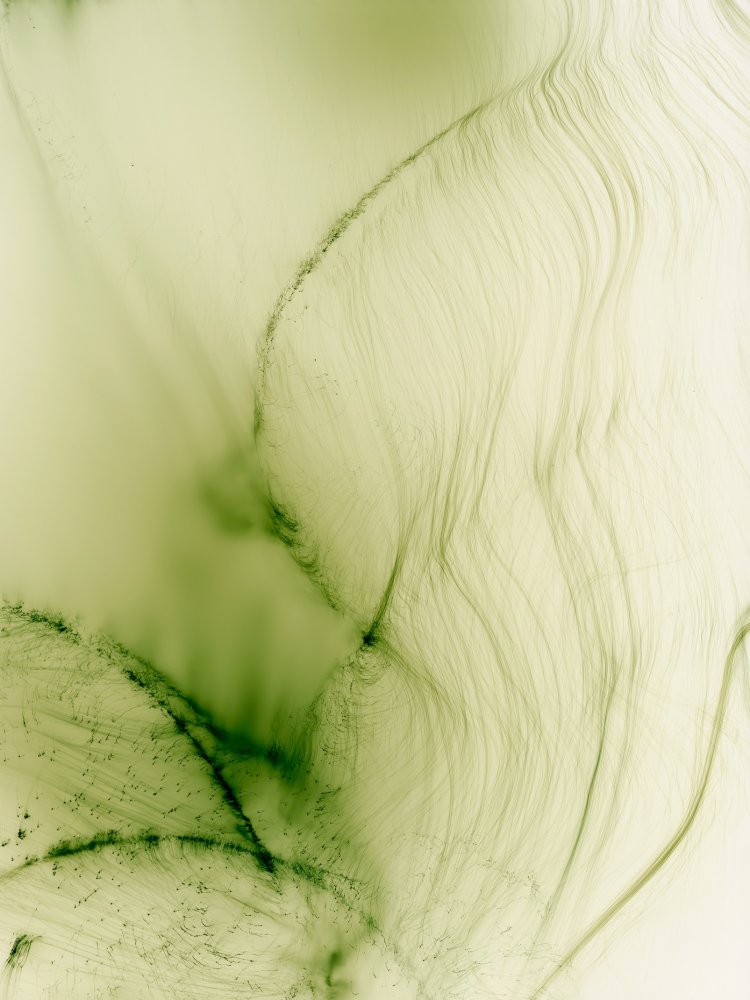 ヴォルフガング・ティルマンス《フライシュヴィマー 74》2004年 『ポーラ美術館』 （C）Wolfgang Tillmans, Courtesy Wako Works of Art。