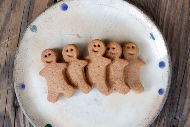 うたたね舎2_橋本