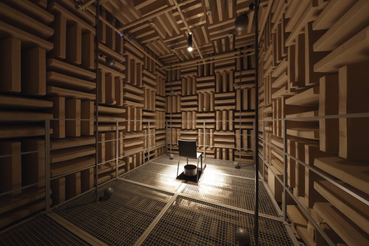 evala『大きな耳をもったキツネ』2013年 撮影＝木奥恵三。