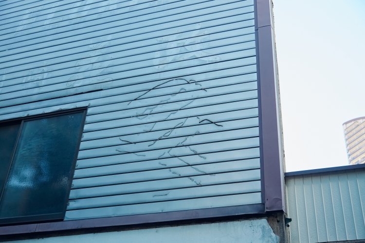 x_396納品データ