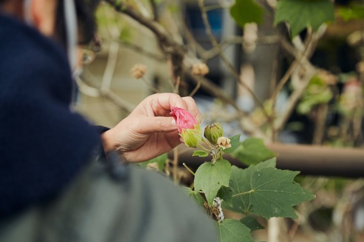 x_1447納品データ