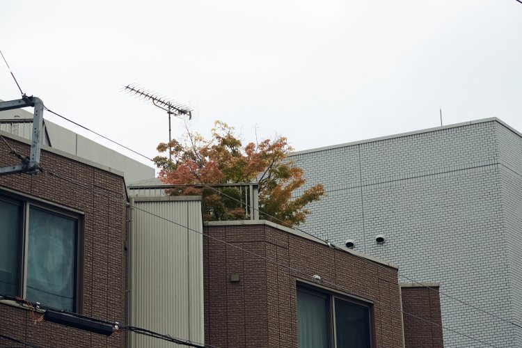 x_1682納品データ