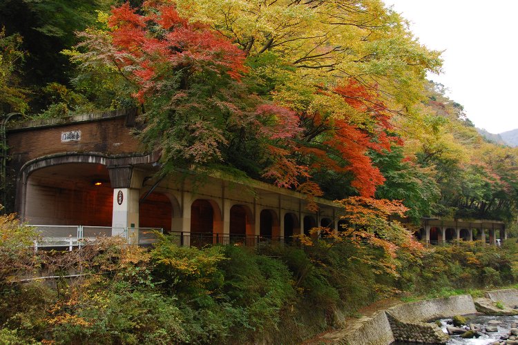 通行止めになる前の函嶺洞門（写真提供＝箱根町役場 企画観光部観光課）。